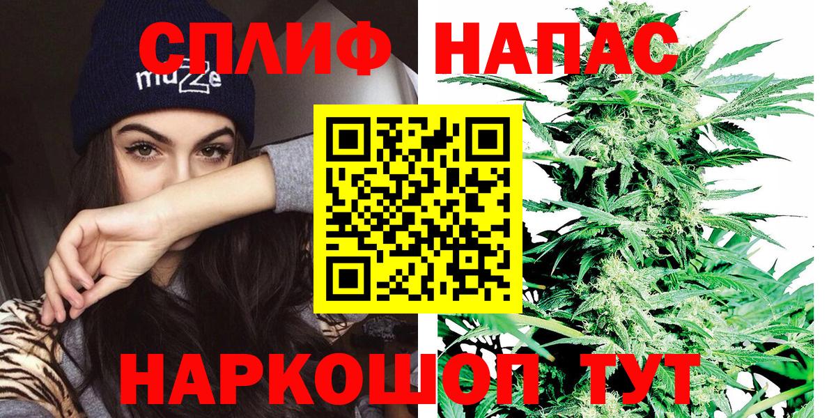 Канабис ГИДРОПОН Родники